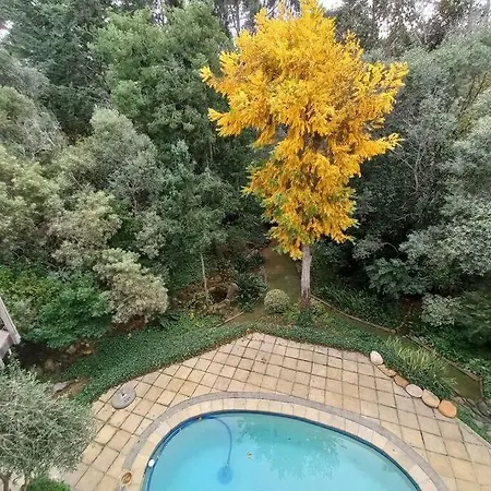 Pecan Tree Studio 2 With Forest View Stellenbosch Exterior foto