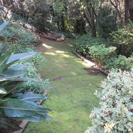 Pecan Tree Studio 2 With Forest View Stellenbosch Exterior foto