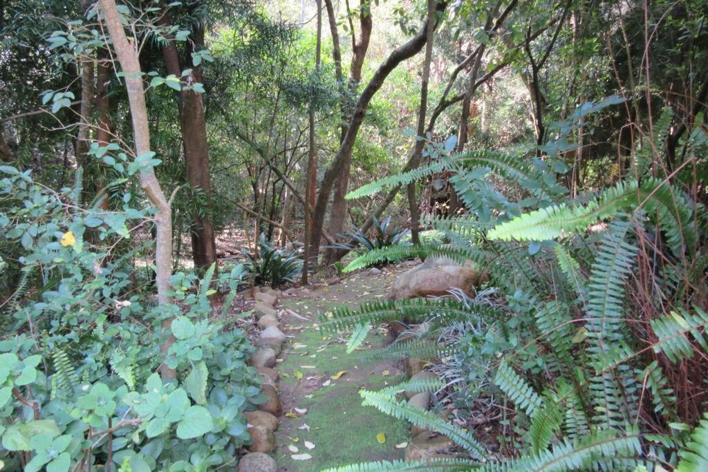 Apartamento Pecan Tree 2 With Forest View