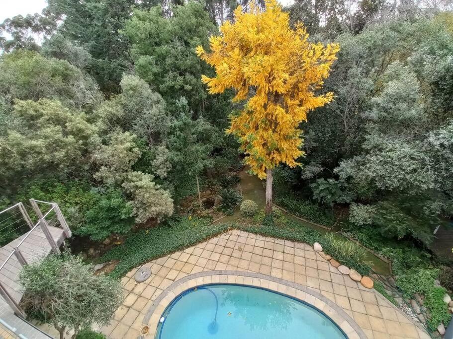 Pecan Tree 2 With Forest View Apartamento