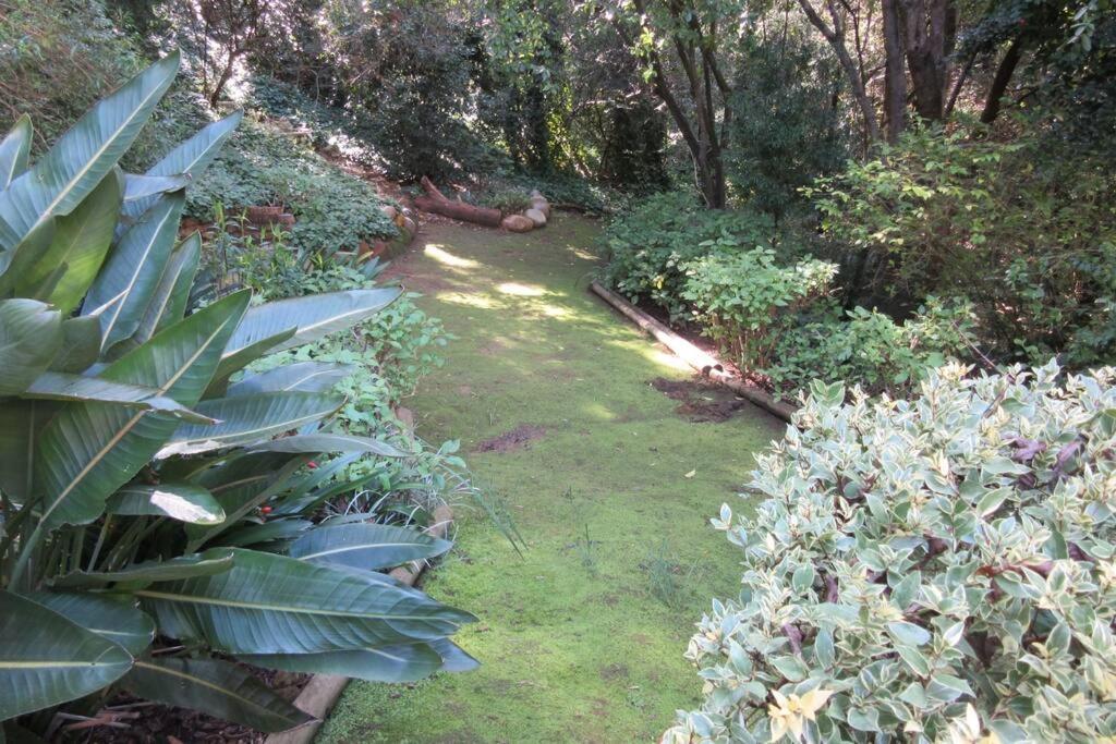 Apartamento Pecan Tree 2 With Forest View