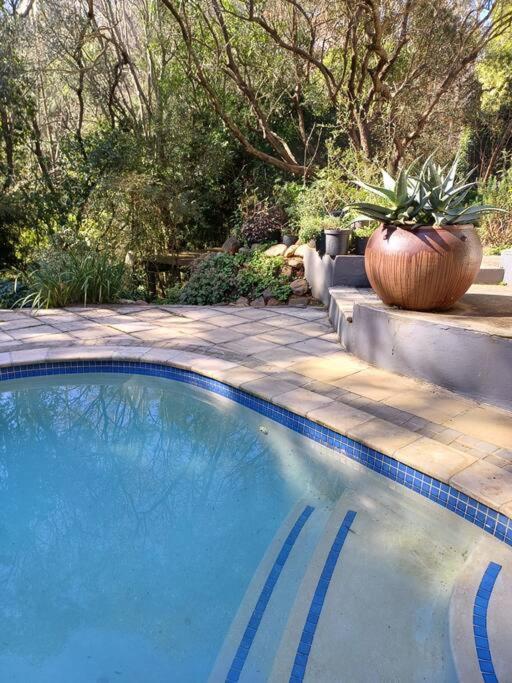 Pecan Tree 2 With Forest View Apartamento Stellenbosch